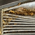 What are the Dangers of Not Having a Cabin Air Filter?