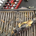 The Benefits of Replacing Your Cabin Air Filter
