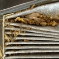 How Long Should a Cabin Air Filter Last in a Car?